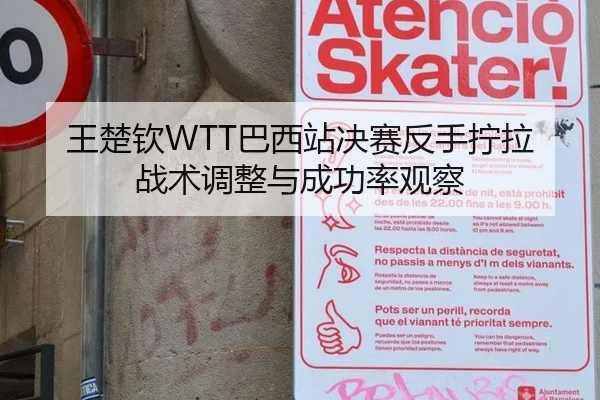王楚钦WTT巴西站决赛反手拧拉战术调整与成功率观察